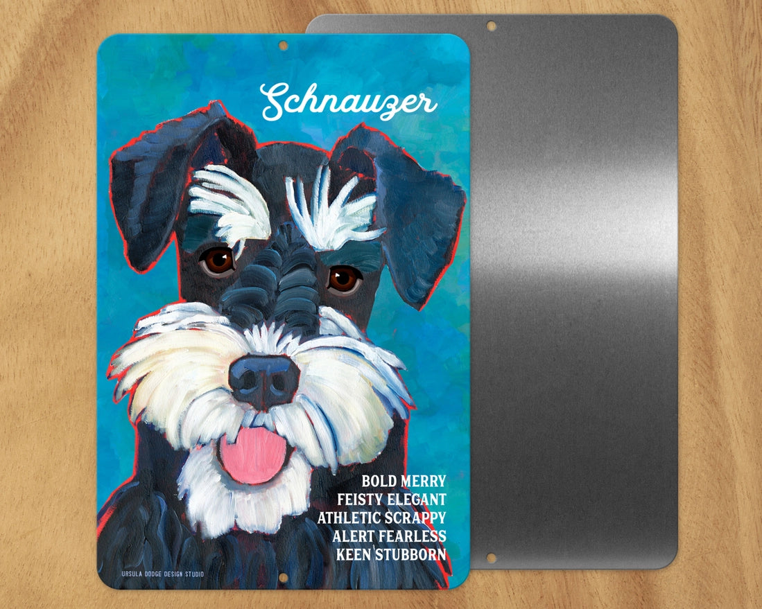 Schnauzer (black & White) -UD Metal Sign