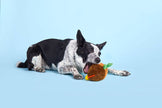 BARK Fowl Play Dog Toy