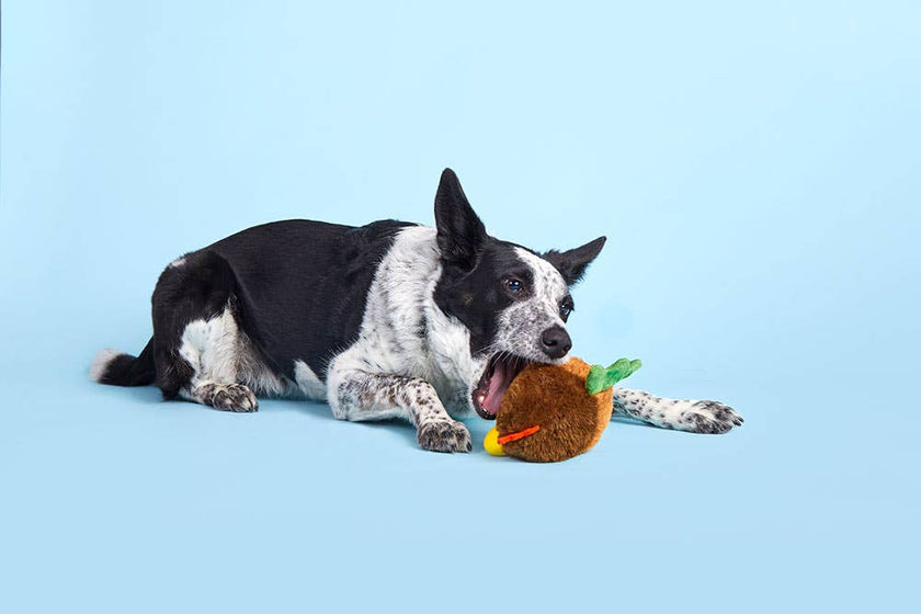 BARK Fowl Play Dog Toy