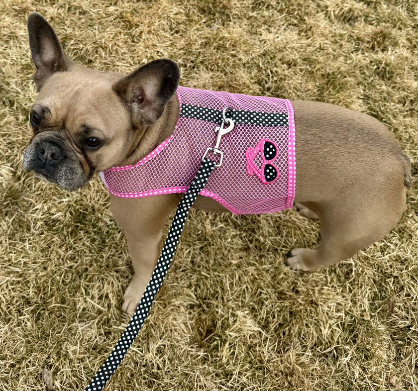 Cool Mesh Dog Harness - Sunglasses Pink & Black Polka Dot