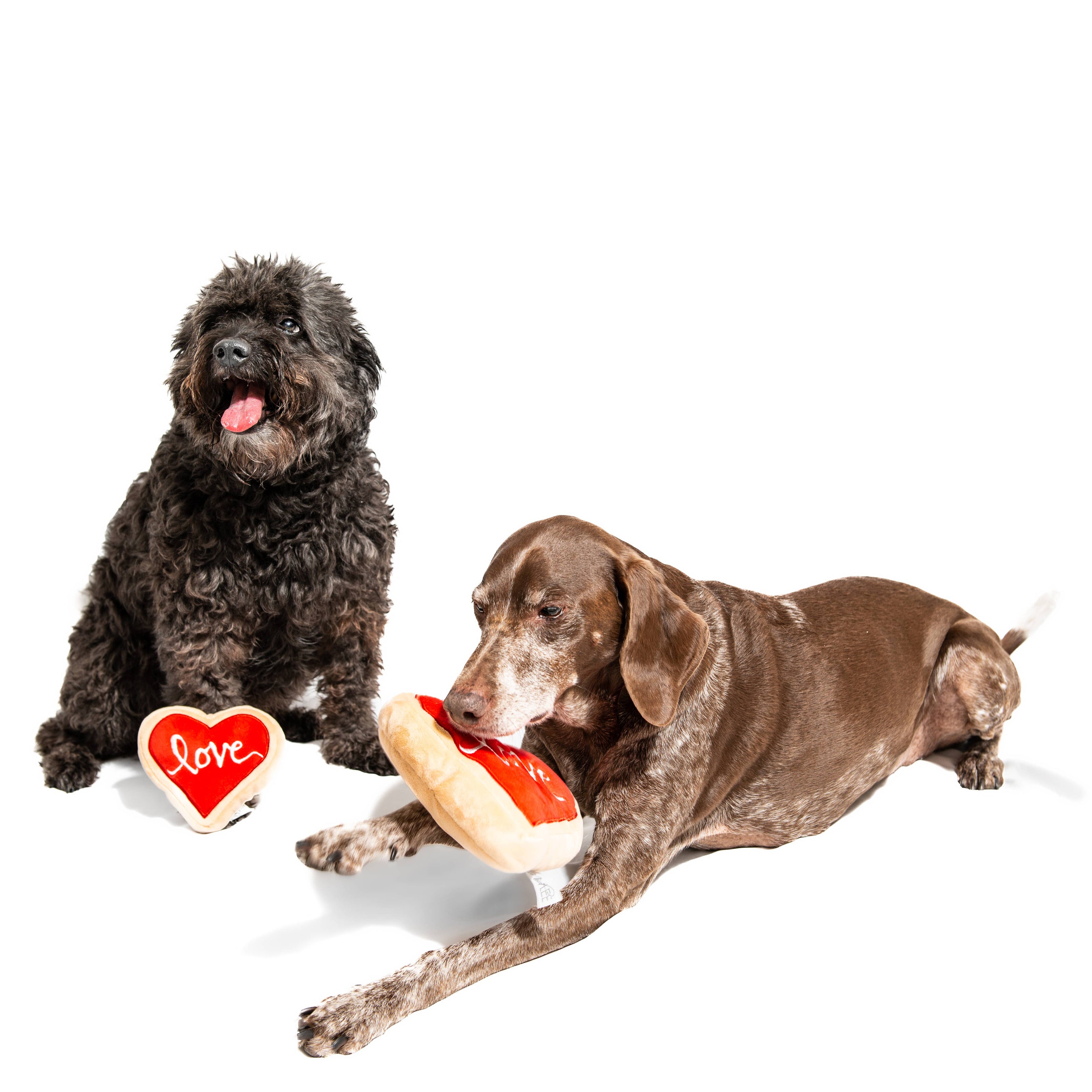 Valentine's Red Heart Love Sugar Cookie