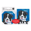 Border Collie - Absorbent Stone Coaster