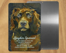 Boykin Spaniel -UD Metal Sign