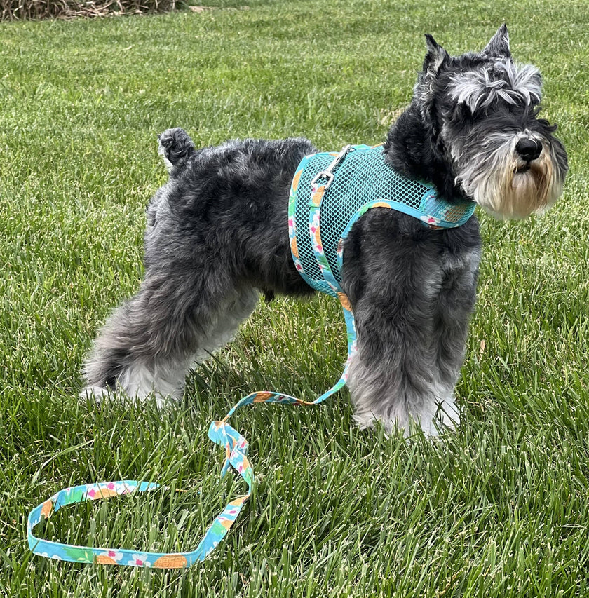 Cool Mesh Dog Harness - Pineapple Luau