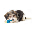Petstages Orka Chew Pair Mini Bone & Dumbbell Dog Toys 2pc