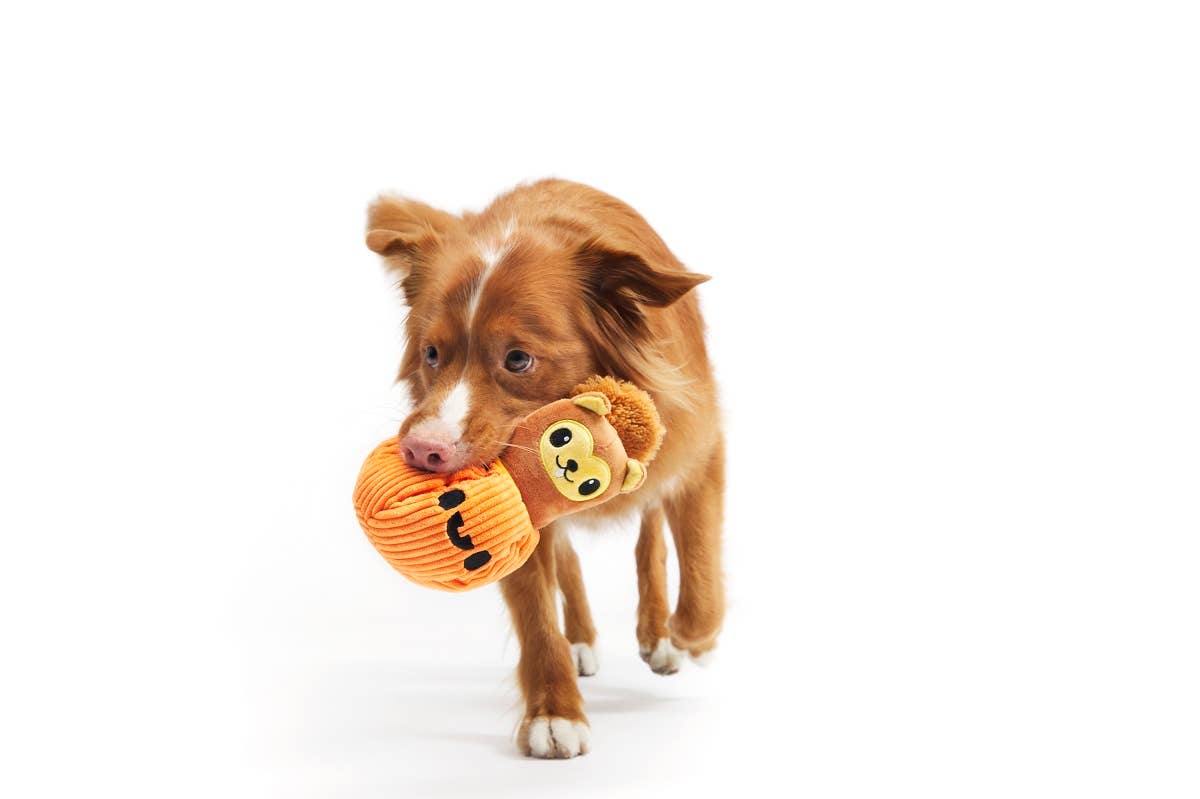 BARK Squirrel O' Lantern Plush Dog Toy Small