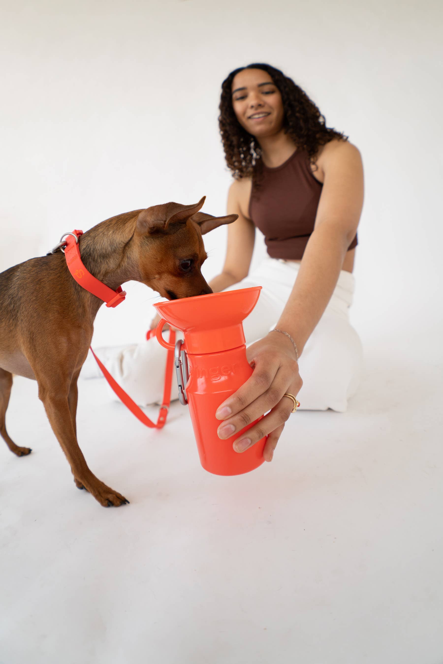 Dog Travel Water Bottle, 15oz, Mini