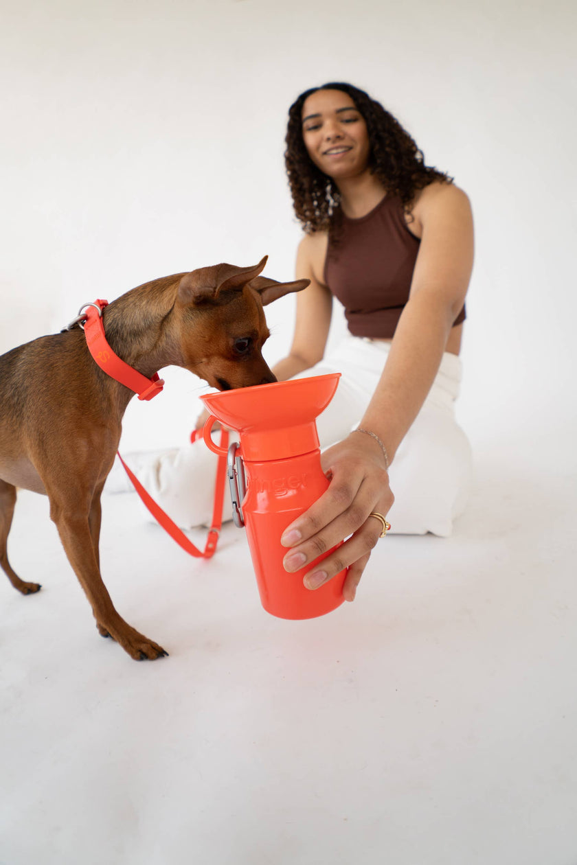 Dog Travel Water Bottle, 15oz, Mini