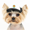 Trucker Hat for Dogs/Cats- Seagull