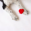 Valentine's Plush Red Heart Valentine's Day Dog Toy