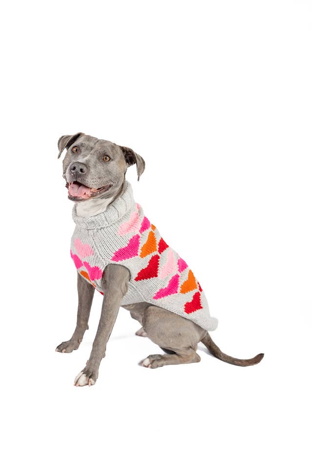 Puppy Love Knit Dog Pet Sweater