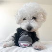 2-in-1 Gorilla Fetch Ball Dog Toy