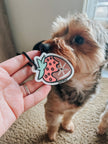 Potty Pal - Chocolate Strawberry