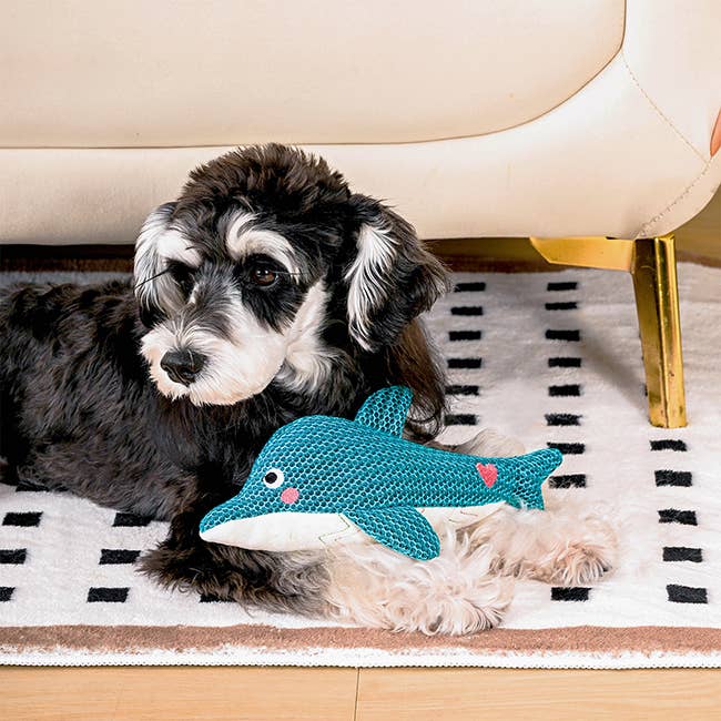 Dog Toy Dolphin Ocean Pals Plush Toy