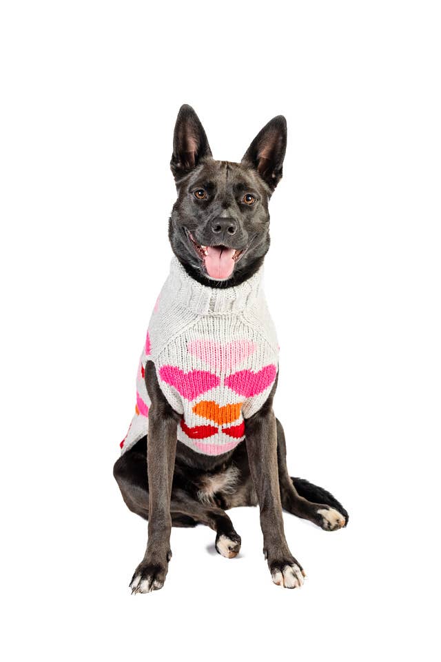 Puppy Love Knit Dog Pet Sweater