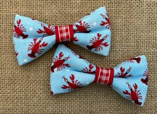MINI SIZE Lobsters