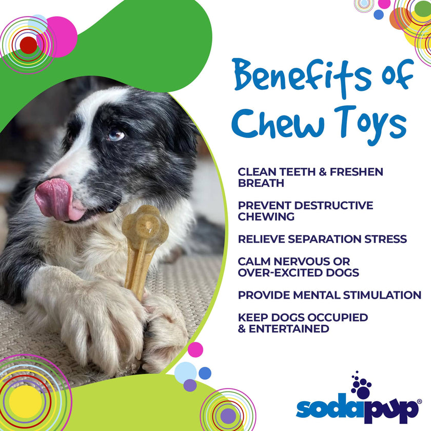 Dog Toy SP Knucklebone Ultra Durable Nylon Dog Chew Bone