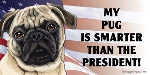 My Pug Is Smarter Than the President - Car Magnet