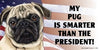 My Pug Is Smarter Than the President - Car Magnet