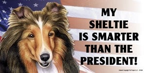*My Sheltie Is Smarter Than the President - Car Magnet