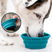 Travel Slow Feeder Dog Bowl with Non-Slip Suction Bottom