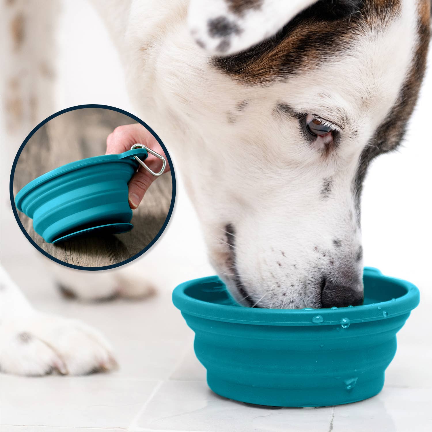 Travel Slow Feeder Dog Bowl with Non-Slip Suction Bottom