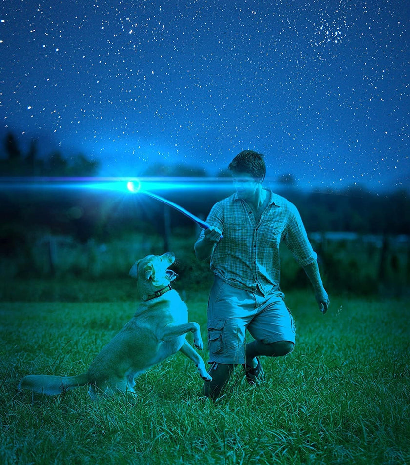 Dog Toy Chuck It Max Glow Ball, Large