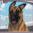 Belgian Malinois - Dogs On The Move Window Decal