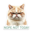 Cat Nope Not Today Vinyl Sticker