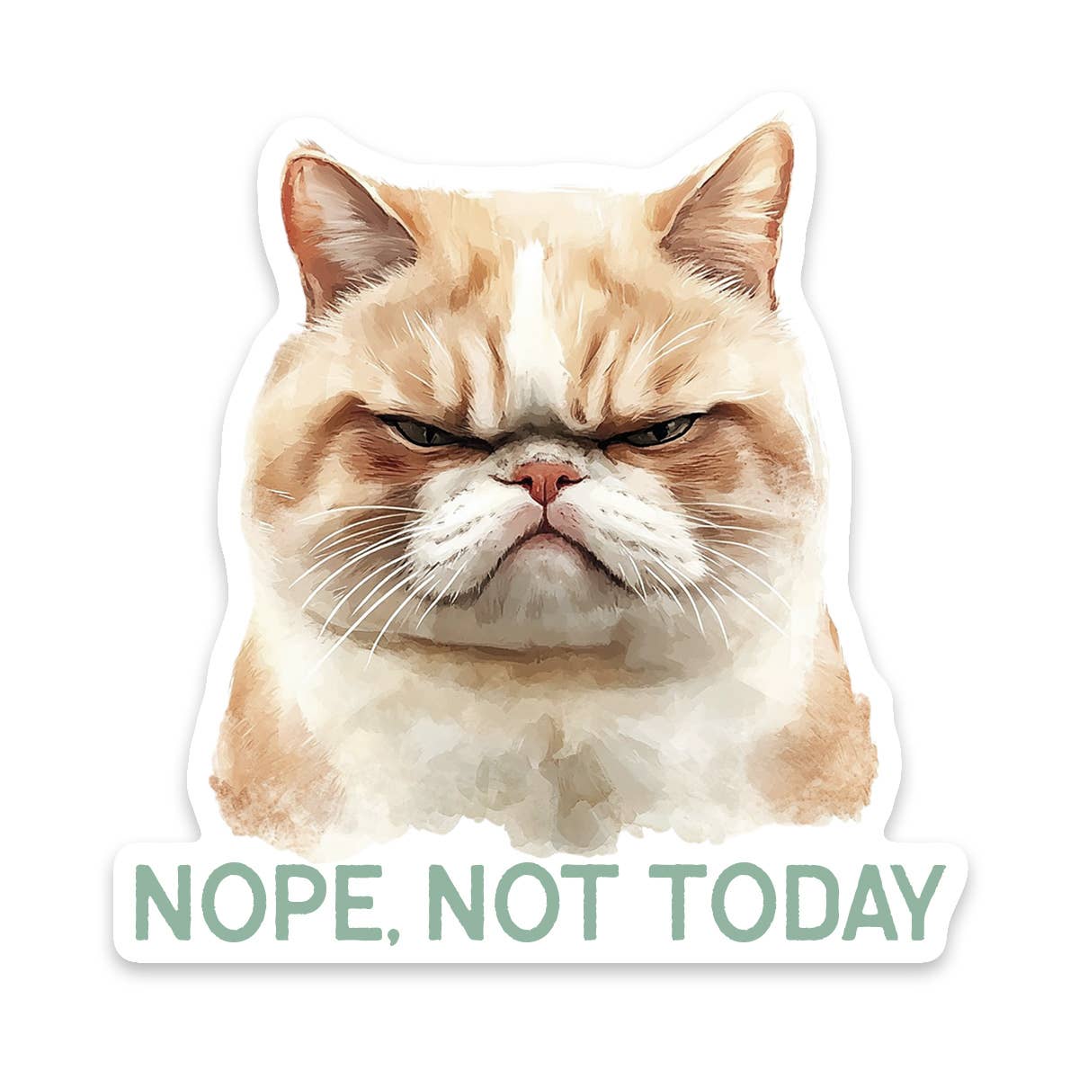 Cat Nope Not Today Vinyl Sticker