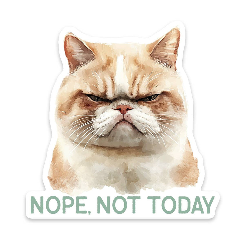 Cat Nope Not Today Vinyl Sticker