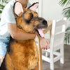 German Shepherd Life Size Plush Stuffed Animal