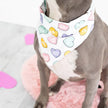 Pearhead Conversation Hearts Dog Bandana, M/L