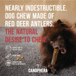 Dog Chew Made of Red Deer Antlers.