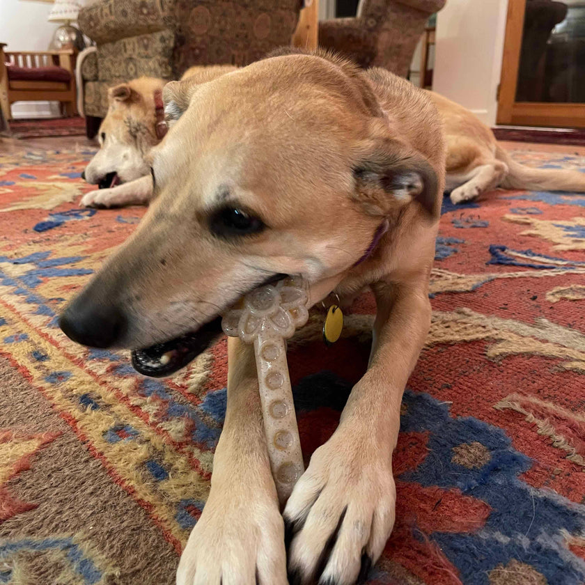 SP Flower Tower Durable Nylon Chew and Enrichment Dog Toy