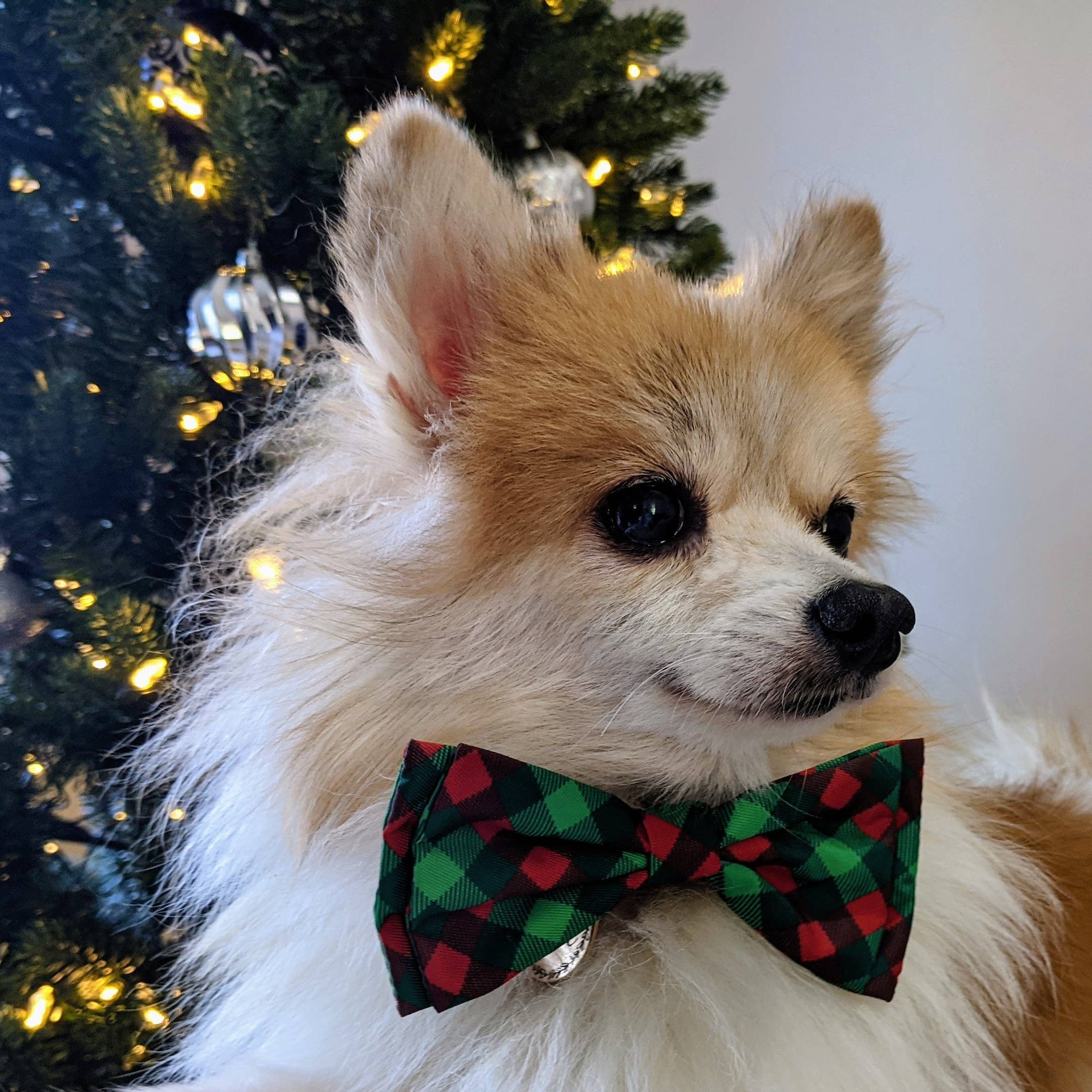 H&K Bow Tie Scottish Check
