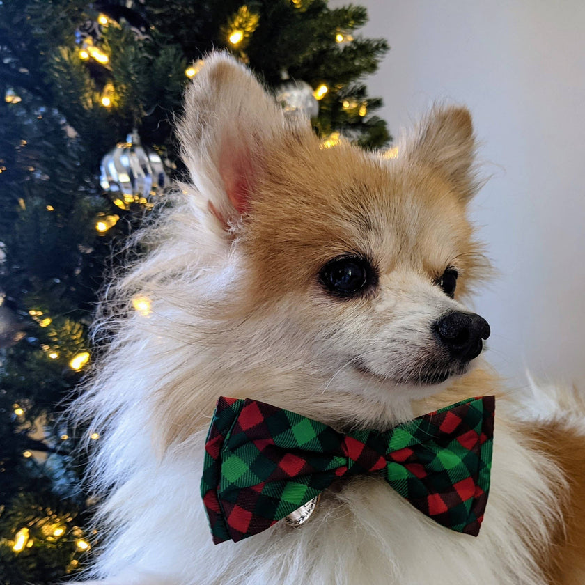 H&K Bow Tie Scottish Check