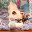 Dog Toy Burrito Fiesta Chewsday Plush Dog Rope Toy
