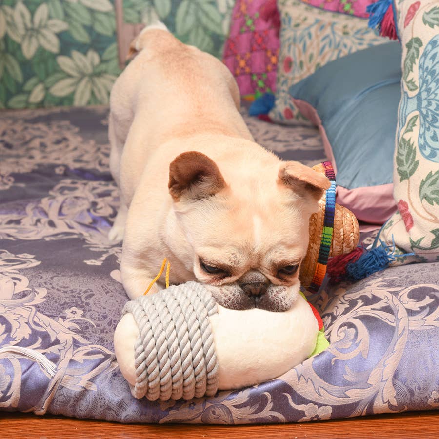 Dog Toy Burrito Fiesta Chewsday Plush Dog Rope Toy