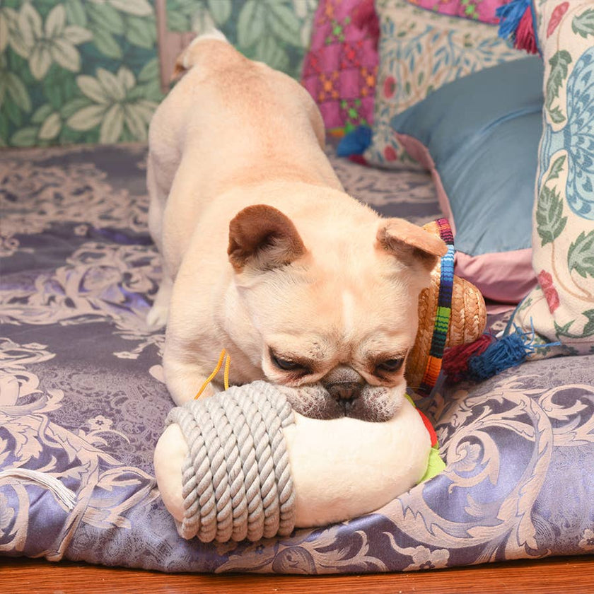 Dog Toy Burrito Fiesta Chewsday Plush Dog Rope Toy