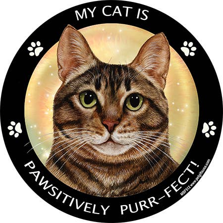 Brown Tabby Cat My Best Friend Circular Magnet