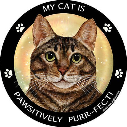 Brown Tabby Cat My Best Friend Circular Magnet