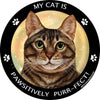 Brown Tabby Cat My Best Friend Circular Magnet