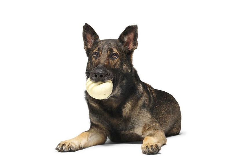 BARK Tinkles The Gerbil Dog Toy