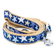 Starfish Lead