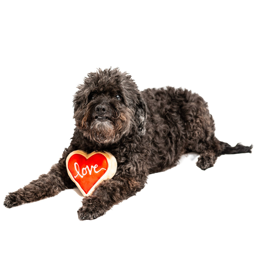 Valentine's Red Heart Love Sugar Cookie