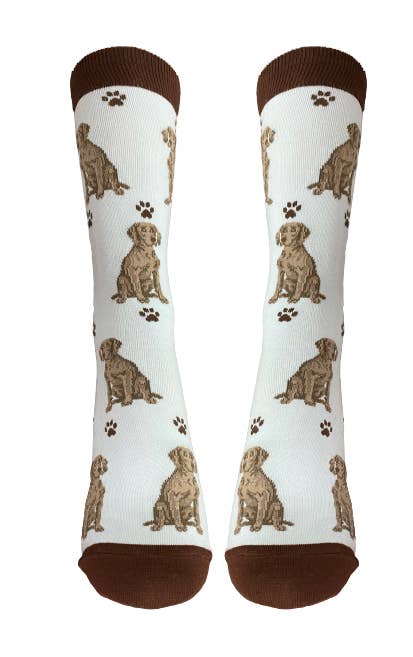 Weimaraner Socks - Fun Novelty Dog Socks - Unisex