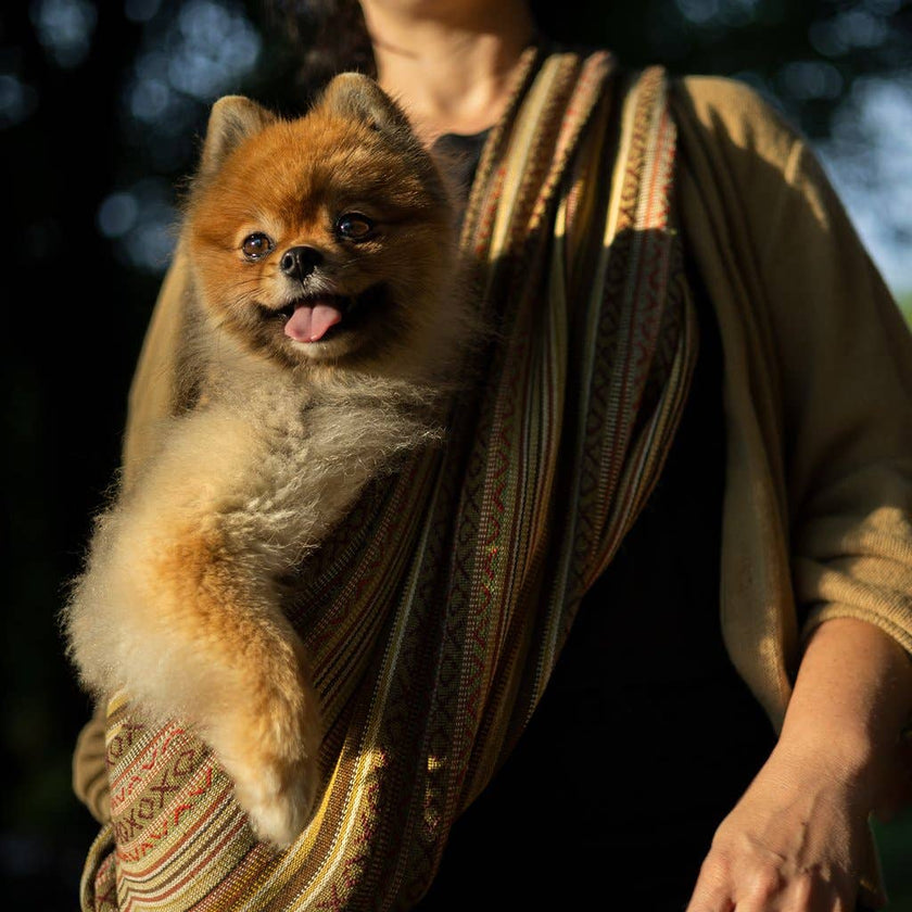 Dog Sling Woven Moab Colorful Design
