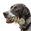 Fish Bone Nylon Dog Toy for Aggressive Chewers | USA Made | SodaPup: Brown