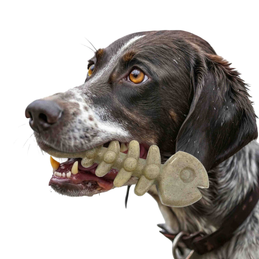 Fish Bone Nylon Dog Toy for Aggressive Chewers | USA Made | SodaPup: Brown